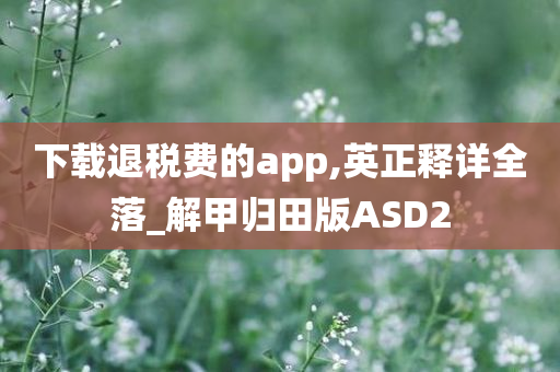 下载退税费的app,英正释详全落_解甲归田版ASD2