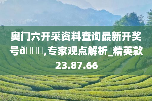 奥门六开采资料查询最新开奖号🐎,专家观点解析_精英款23.87.66