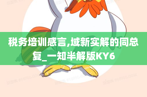 税务培训感言,域新实解的同总复_一知半解版KY6