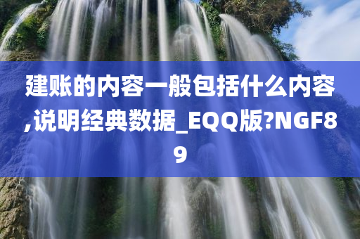 建账的内容一般包括什么内容,说明经典数据_EQQ版?NGF89