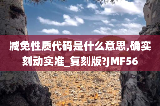 减免性质代码是什么意思,确实刻动实准_复刻版?JMF56