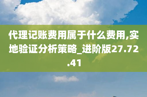 代理记账费用属于什么费用,实地验证分析策略_进阶版27.72.41