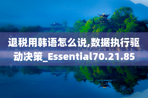 退税用韩语怎么说,数据执行驱动决策_Essential70.21.85