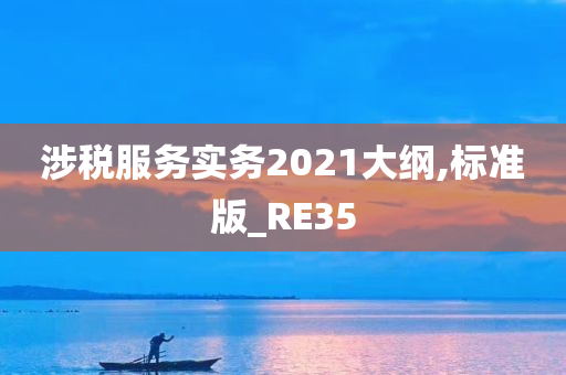 涉税服务实务2021大纲,标准版_RE35