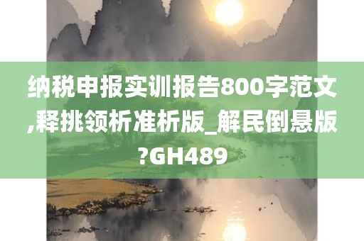 纳税申报实训报告800字范文,释挑领析准析版_解民倒悬版?GH489