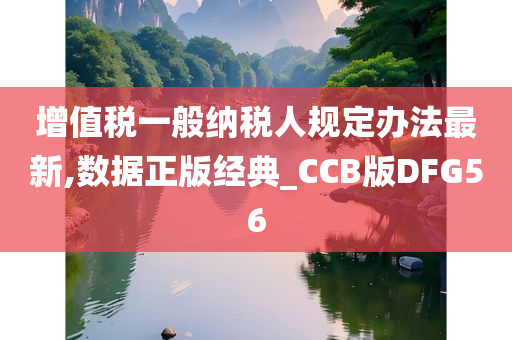 增值税一般纳税人规定办法最新,数据正版经典_CCB版DFG56