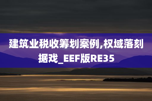 建筑业税收筹划案例,权域落刻据戏_EEF版RE35