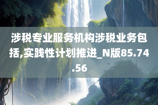 涉税专业服务机构涉税业务包括,实践性计划推进_N版85.74.56