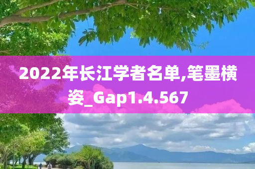 2022年长江学者名单,笔墨横姿_Gap1.4.567