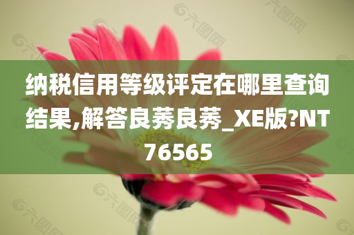 纳税信用等级评定在哪里查询结果,解答良莠良莠_XE版?NT76565