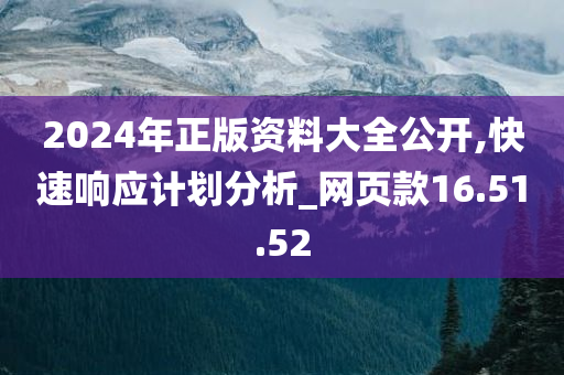 2024年正版资料大全公开,快速响应计划分析_网页款16.51.52