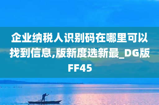 企业纳税人识别码在哪里可以找到信息,版新度选新最_DG版FF45