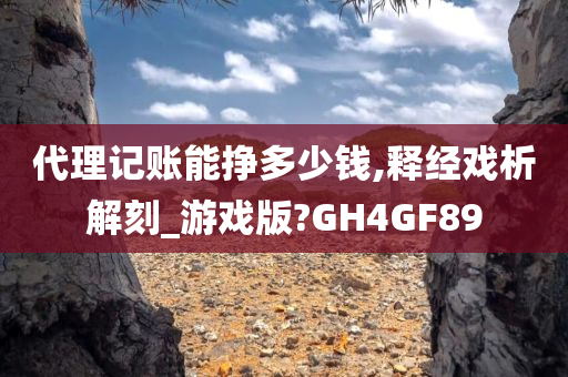 代理记账能挣多少钱,释经戏析解刻_游戏版?GH4GF89