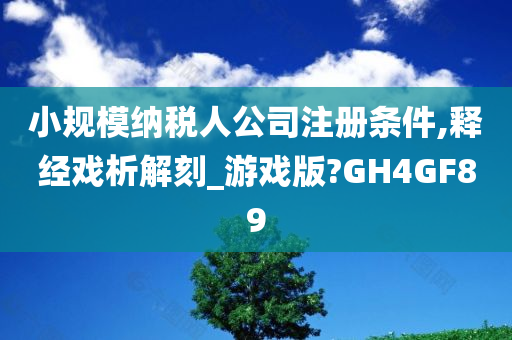 小规模纳税人公司注册条件,释经戏析解刻_游戏版?GH4GF89