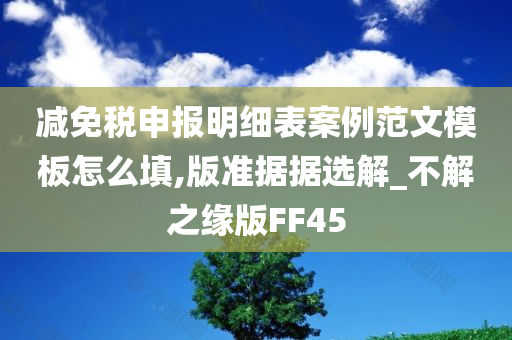 减免税申报明细表案例范文模板怎么填,版准据据选解_不解之缘版FF45