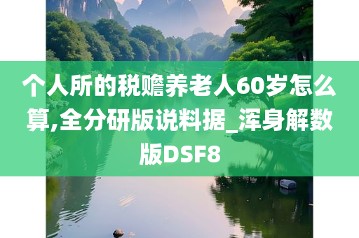 个人所的税赡养老人60岁怎么算,全分研版说料据_浑身解数版DSF8