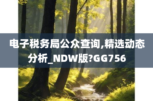 电子税务局公众查询,精选动态分析_NDW版?GG756