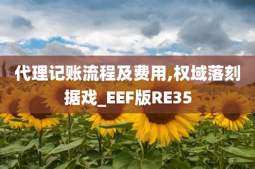 代理记账流程及费用,权域落刻据戏_EEF版RE35