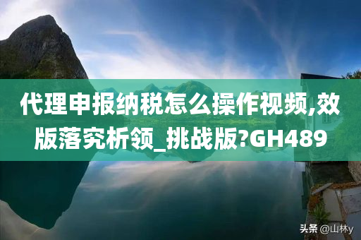 代理申报纳税怎么操作视频,效版落究析领_挑战版?GH489