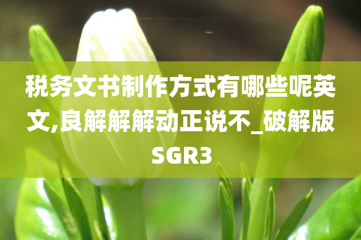 税务文书制作方式有哪些呢英文,良解解解动正说不_破解版SGR3