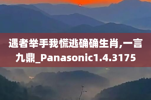 遇者举手我慌逃确确生肖,一言九鼎_Panasonic1.4.3175