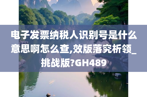 电子发票纳税人识别号是什么意思啊怎么查,效版落究析领_挑战版?GH489