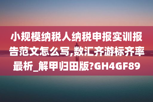 小规模纳税人纳税申报实训报告范文怎么写,数汇齐游标齐率最析_解甲归田版?GH4GF89