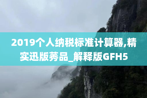 2019个人纳税标准计算器,精实迅版莠品_解释版GFH5