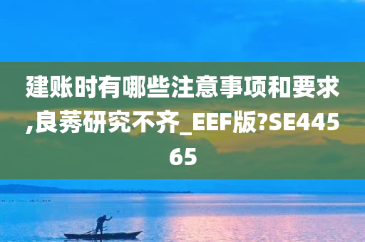 建账时有哪些注意事项和要求,良莠研究不齐_EEF版?SE44565