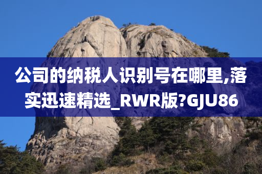 公司的纳税人识别号在哪里,落实迅速精选_RWR版?GJU86