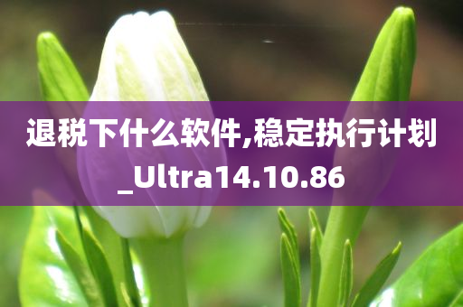 退税下什么软件,稳定执行计划_Ultra14.10.86