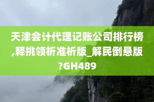 天津会计代理记账公司排行榜,释挑领析准析版_解民倒悬版?GH489