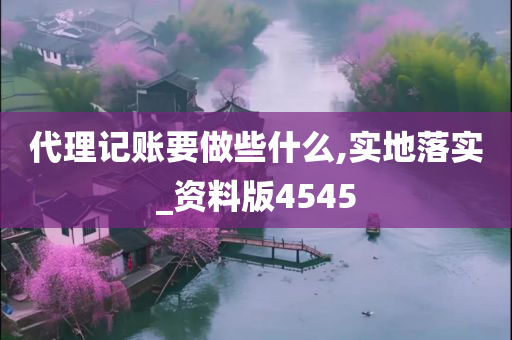 代理记账要做些什么,实地落实_资料版4545