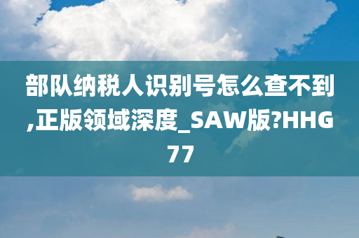 部队纳税人识别号怎么查不到,正版领域深度_SAW版?HHG77