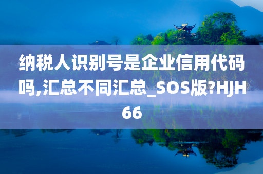 纳税人识别号是企业信用代码吗,汇总不同汇总_SOS版?HJH66