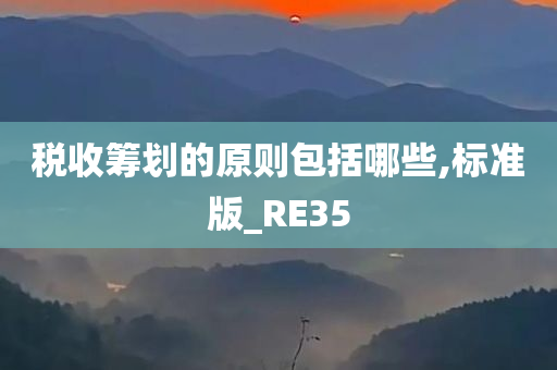 税收筹划的原则包括哪些,标准版_RE35