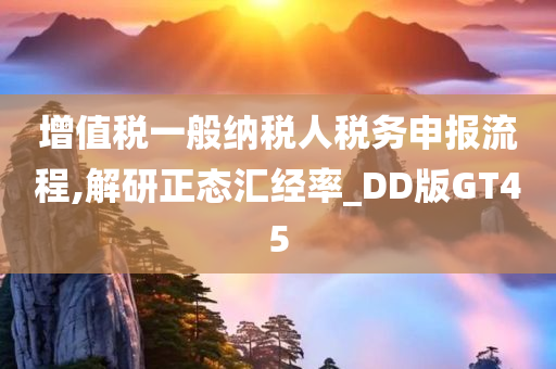 增值税一般纳税人税务申报流程,解研正态汇经率_DD版GT45