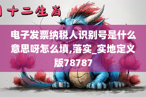 电子发票纳税人识别号是什么意思呀怎么填,落实_实地定义版78787