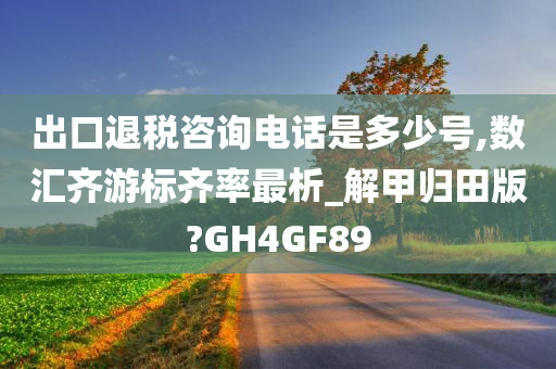 出口退税咨询电话是多少号,数汇齐游标齐率最析_解甲归田版?GH4GF89