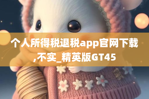 个人所得税退税app官网下载,不实_精英版GT45