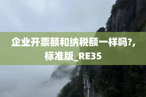 企业开票额和纳税额一样吗?,标准版_RE35