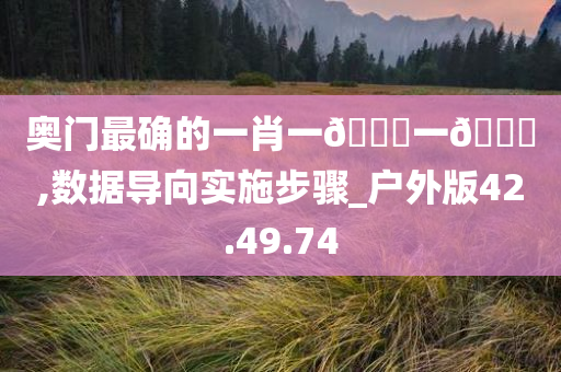 奥门最确的一肖一🐎一🐎,数据导向实施步骤_户外版42.49.74