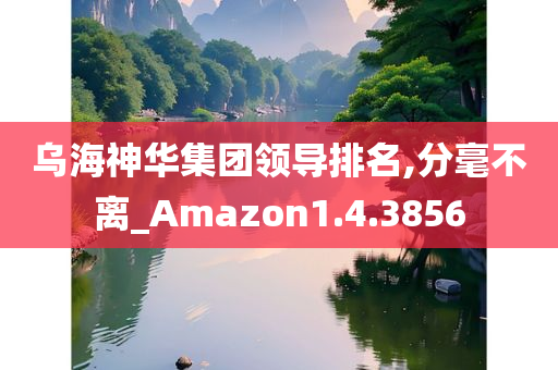 乌海神华集团领导排名,分毫不离_Amazon1.4.3856