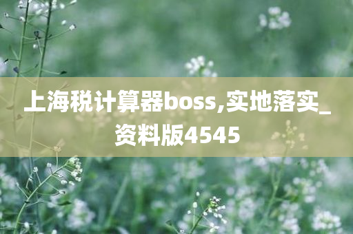 上海税计算器boss,实地落实_资料版4545