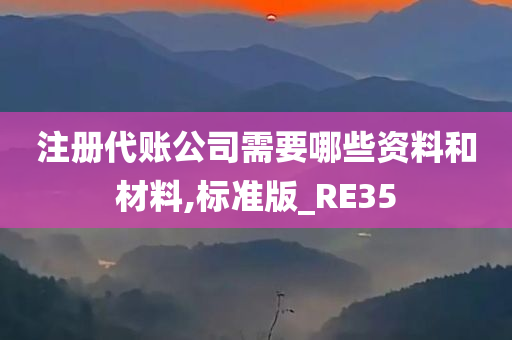 注册代账公司需要哪些资料和材料,标准版_RE35