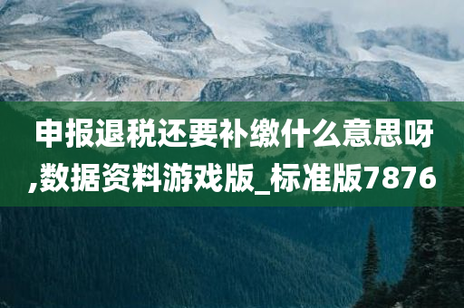 申报退税还要补缴什么意思呀,数据资料游戏版_标准版7876