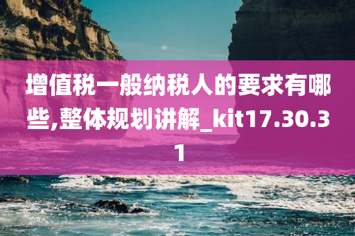 增值税一般纳税人的要求有哪些,整体规划讲解_kit17.30.31