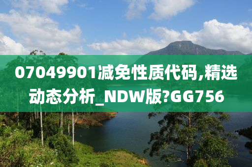 07049901减免性质代码,精选动态分析_NDW版?GG756