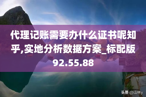 代理记账需要办什么证书呢知乎,实地分析数据方案_标配版92.55.88