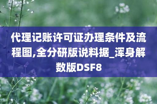 代理记账许可证办理条件及流程图,全分研版说料据_浑身解数版DSF8